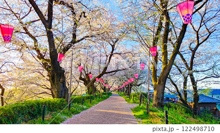 権現堂桜堤 122498710