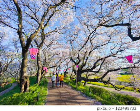 権現堂桜堤 権現堂桜堤 122498732