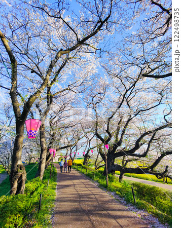 権現堂桜堤 122498735