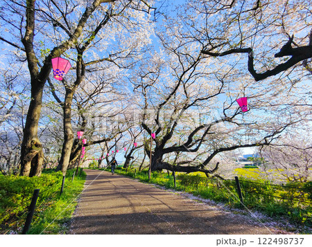 権現堂桜堤 122498737