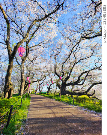 権現堂桜堤 122498808