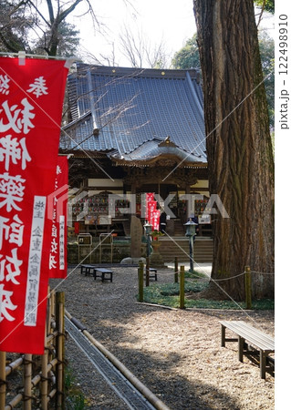 東京都町田市の薬師池公園の薬師堂の風景 東京都町田市の薬師池公園の薬師堂の風景 122498910