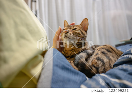 猫を撫でる女性 猫を撫でる女性 122499221