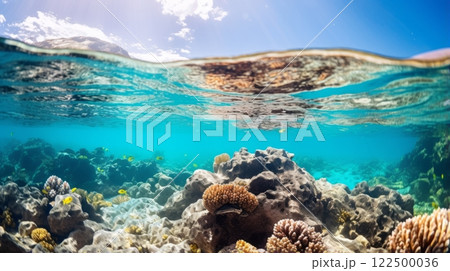 Vibrant coral reef teeming with marine life 122500036