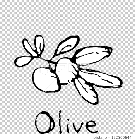 オリーブのイラスト オリーブのイラスト 122500644