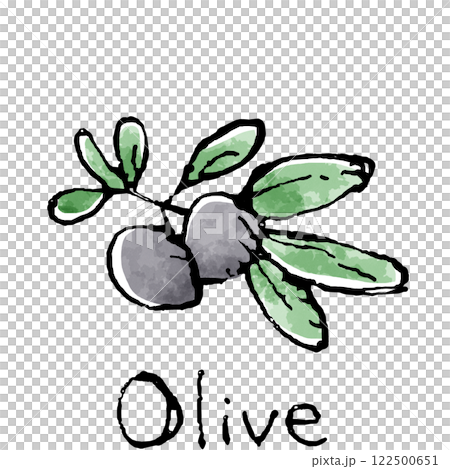 ブラックオリーブのイラスト 122500651