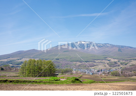 嬬恋村の春、キャベツ畑の風景 122501673
