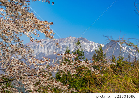【日本百名山】春の蒜山高原　ヤマザクラと大山9　岡山県真庭市 122501696