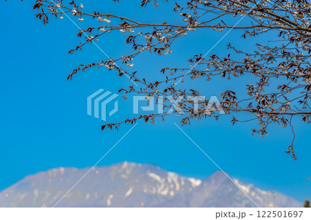 【日本百名山】春の蒜山高原 ヤマザクラと大山8 岡山県真庭市 【日本百名山】春の蒜山高原 ヤマザクラと大山8 岡山県真庭市 122501697