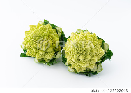白背景に2個のロマネスコ 122502048