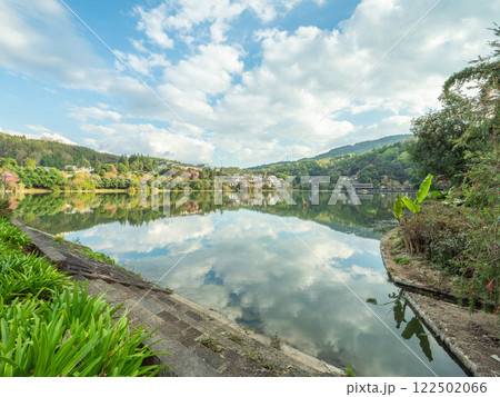 湖 木 ツリー 122502066