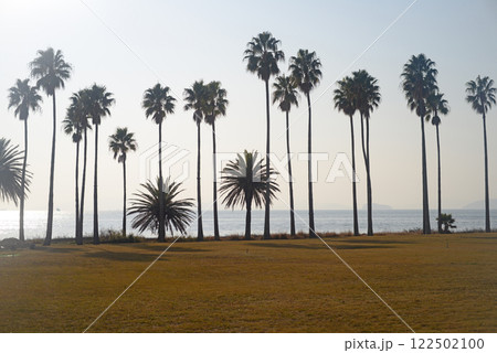 小豆島土庄町椰子の木のある浜辺-2 122502100
