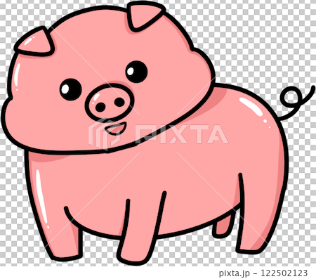pig  122502123
