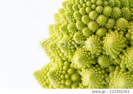 ロマネスコのつぼみのクローズアップ ロマネスコのつぼみのクローズアップ 122502261