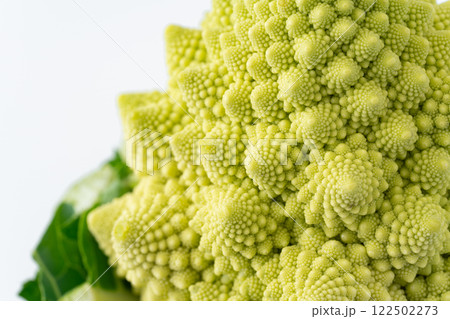 ロマネスコのつぼみのクローズアップ 122502273