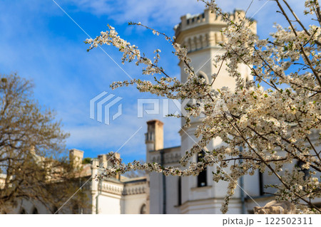 Sharovka palace in neo-gothic style, also known as Sugar Palace in Kharkov region, Ukraine 122502311