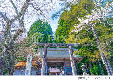 茅部神社 サクラ咲く春の参道 鳥居と随神門5 岡山県真庭市 茅部神社 サクラ咲く春の参道 鳥居と随神門5 岡山県真庭市 122502484