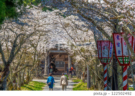 茅部神社 サクラ咲く春の参道 鳥居と随神門4 岡山県真庭市 茅部神社 サクラ咲く春の参道 鳥居と随神門4 岡山県真庭市 122502492