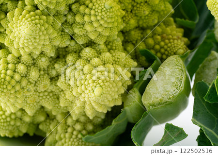 ロマネスコのつぼみのクローズアップ 122502516