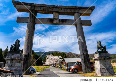 茅部神社　サクラ咲く春の参道と大鳥居5　岡山県真庭市 122503423