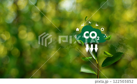 representing eco-friendly transport A leafy green plant with a CO2 cloud on top. 122503852