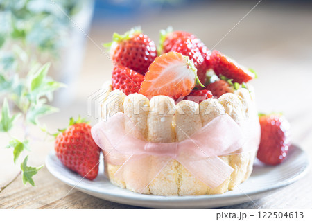 苺のシャルロットケーキ 苺のシャルロットケーキ 122504613