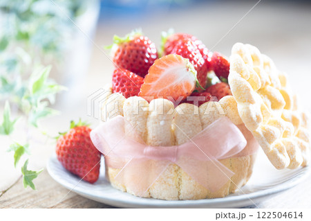苺のシャルロットケーキ 122504614
