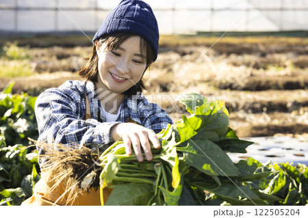 畑で働く農家の風景 畑で働く農家の風景 122505204