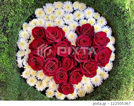 真紅の薔薇でハートを形作った2月の花手水(薔薇・菊・苔)〈菅生神社/愛知県岡崎市〉 122505367