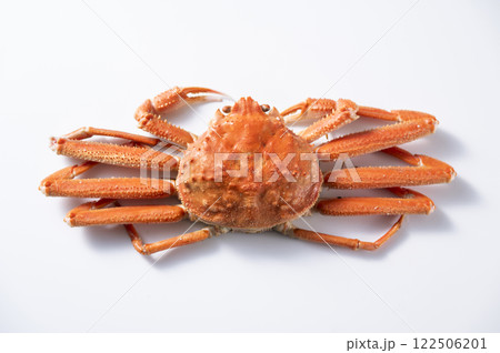 ズワイガニ 122506201