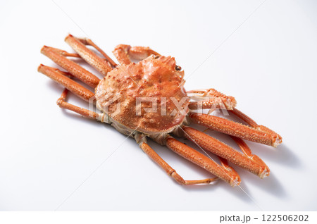 ズワイガニ 122506202