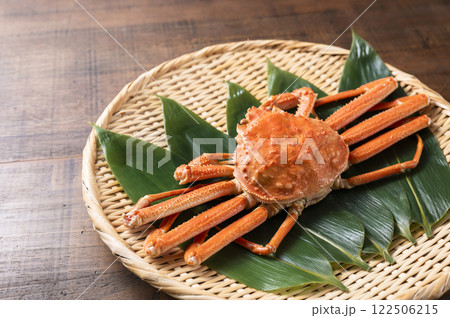 ズワイガニ 122506215