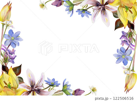 Spring flowers, yellow tulip, white forest anemone, trout lily, blue hepatica forget-me-not, purple corydalis hand drawn in watercolor. Border frame illustration for wedding, florist shop, stationery Spring flowers, yellow tulip, white forest anemone, trout lily, blue hepatica forget-me-not, purple corydalis hand drawn in watercolor. Border frame illustration for wedding, florist shop, stationery 122506516