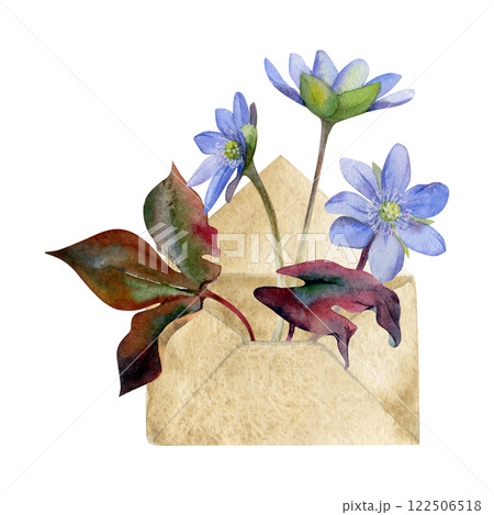 Spring forest ephemera flowers, blue hepatica liverwort forget-me-not anemone primrose in craft mail envelope, hand drawn in watercolor. Letter bouquet illustration. Wedding, florist shop, stationery 122506518