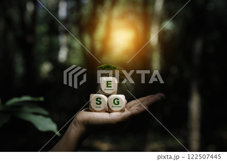 Esg icon on wood green Forest background. ESG environmental social governance investment business, Net zero emission Idea innovation. Environmental, social,Governance concept for Green corporate. 122507445
