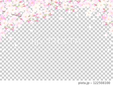 櫻花與櫻花雪框架入學儀式/畢業典禮 122508100