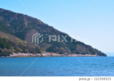 桜景 海津大崎 桜景 海津大崎 122509525