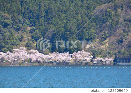 桜景 海津大崎 桜景 海津大崎 122509649