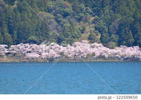 桜景　海津大崎 122509650