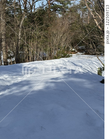 冬の雪山（1月　※富山県　立山町　グリーンパーク吉峰） 122509713