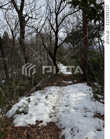冬の雪山（1月　※富山県　立山町　グリーンパーク吉峰） 122509727
