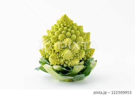 白背景にロマネスコ 白背景にロマネスコ 122509953