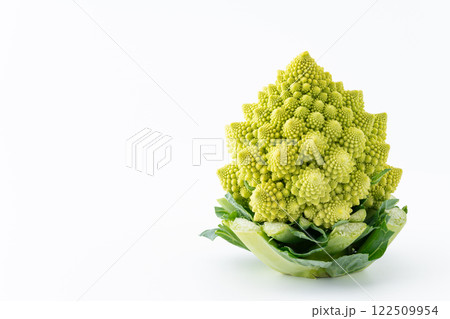 白背景にロマネスコ 122509954