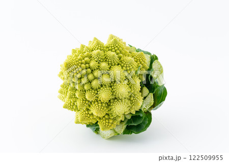 白背景にロマネスコ 122509955