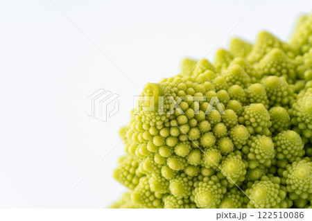 ロマネスコのつぼみのクローズアップ ロマネスコのつぼみのクローズアップ 122510086