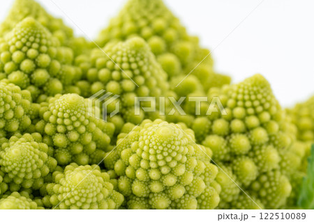 ロマネスコのつぼみのクローズアップ ロマネスコのつぼみのクローズアップ 122510089