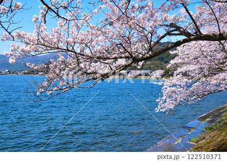 桜景 海津大崎 桜景 海津大崎 122510371
