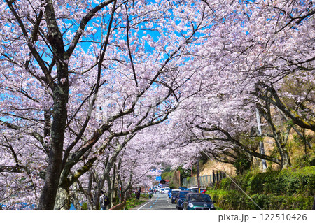 桜景　海津大崎 122510426