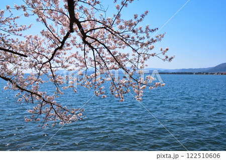 桜景 海津大崎 桜景 海津大崎 122510606