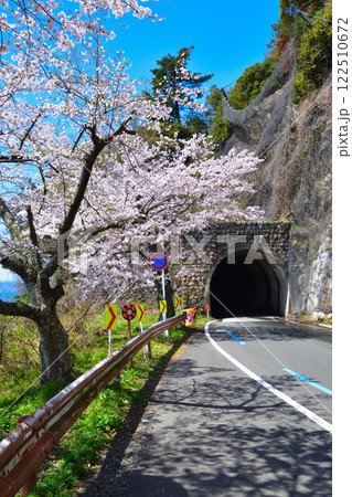 桜景　海津大崎 122510672